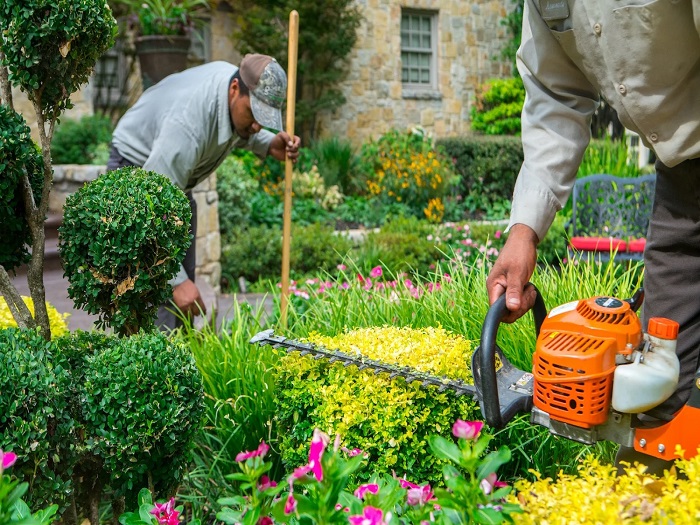Landscaping Contractors In Agra